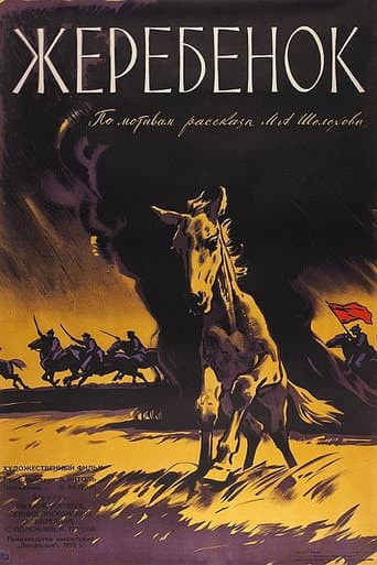 Poster for The Colt