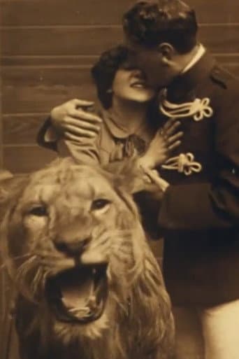 Poster for Love Amongst the Lions