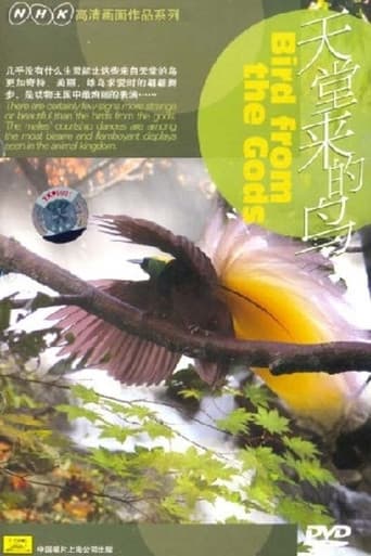 Poster for Birds from the Gods