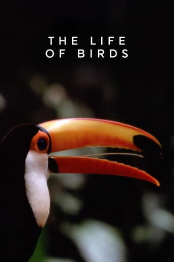 Poster for The Life of Birds