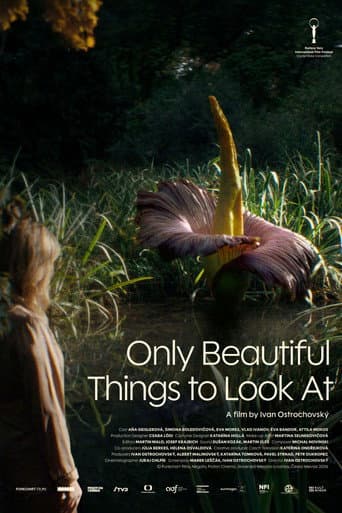 Poster for Only Beautiful Things to Look At