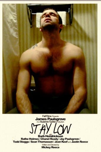 Poster for Stay Low