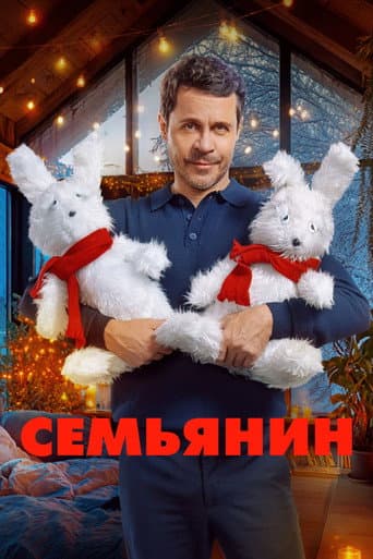 Poster for The Family Man