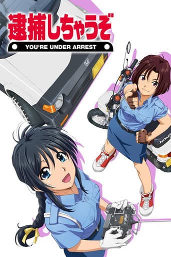 Poster for You're Under Arrest
