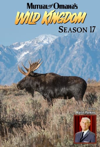 Poster for Season 17