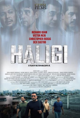 Poster for Haligi