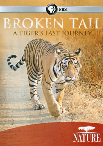 Poster for Broken Tail: A Tiger's Last Journey