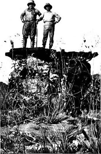 Poster for The River of Doubt