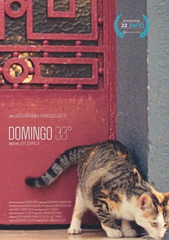 Poster for Domingo 33°