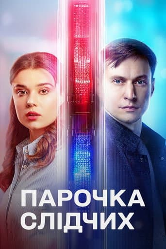 Poster for A Couple of Investigators