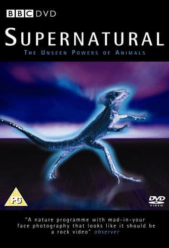 Poster for Supernatural: Unseen Power of Animals