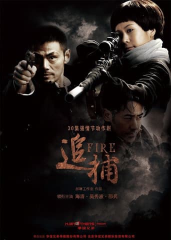 Poster for 追捕