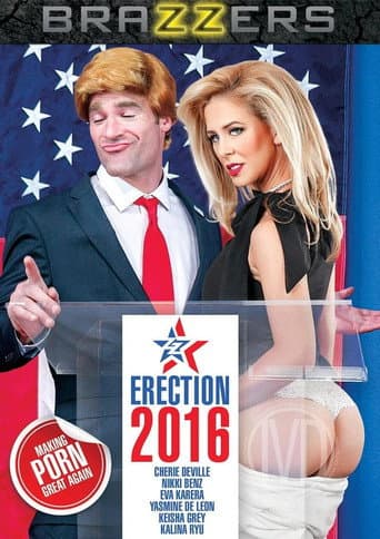 Poster for ZZ Erection 2016
