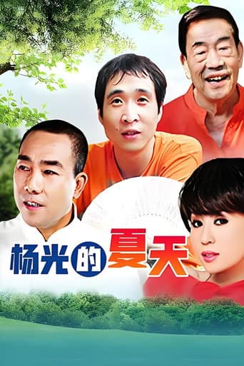 Poster for 杨光的夏天