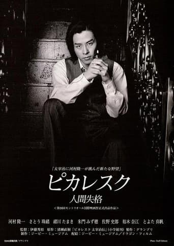 Poster for Picaresque