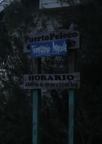 Poster for Peleco Port