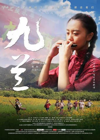 Poster for 九兰