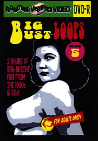 Poster for Big Bust Loops Volume 5