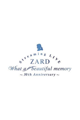 Poster for What a beautiful memory ~30th anniversary