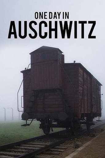 Poster for One Day in Auschwitz