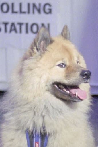 Poster for Dogs at Polling Stations