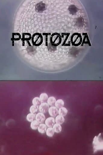 Poster for Protozoa