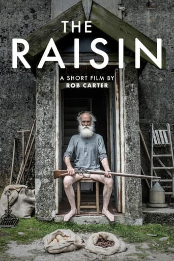 Poster for The Raisin