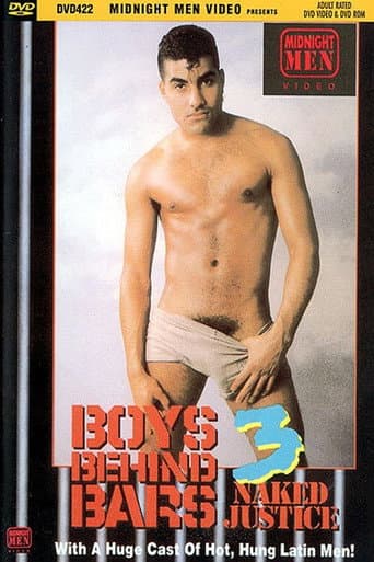 Poster for Boys Behind Bars 3: Naked Justice