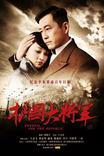 Poster for 护国大将军