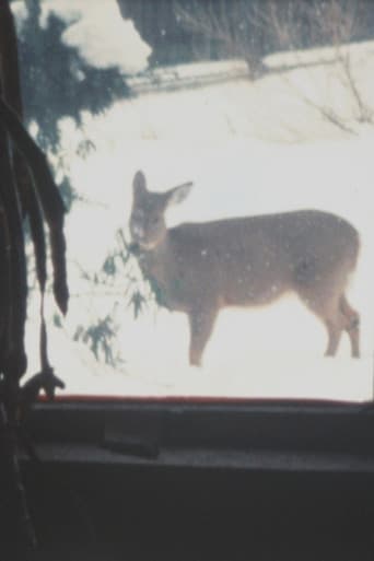 Poster for Super 8 Diary - 2000
