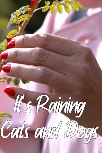 Poster for It's Raining Cats and Dogs