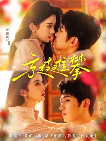 Poster for Marriage Escape to Mystery