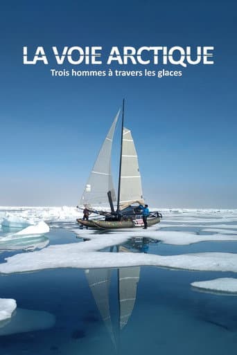 Poster for La Voie arctique - Trois hommes à travers les glaces
