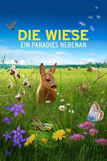 Poster for Die Wiese: Ein Paradies nebenan