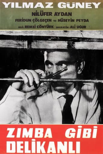 Poster for Zımba Gibi Delikanlı