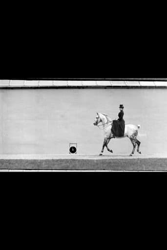 Poster for Bay Horse, Ridden by Thérèse Rentz, Canter