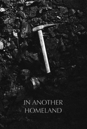 Poster for In Another Homeland