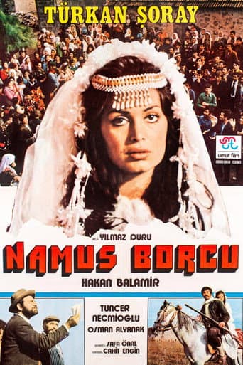 Poster for Namus Borcu