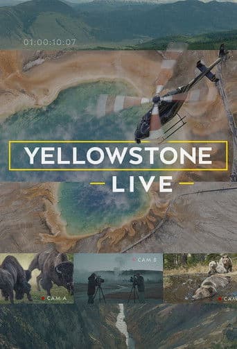 Poster for Yellowstone Live
