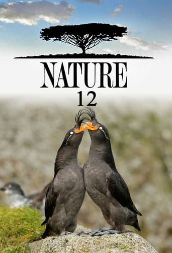 Poster for Season 12