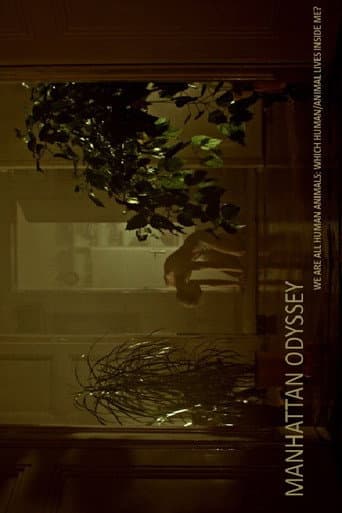Poster for Manhattan Odyssey