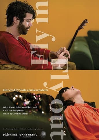 Poster for Fly In Fly Out