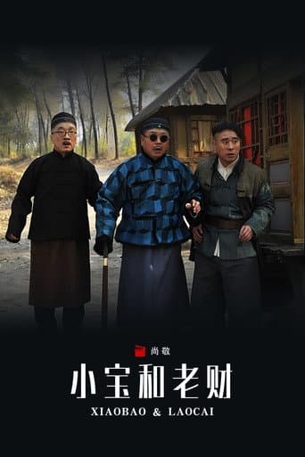 Poster for 小宝和老财