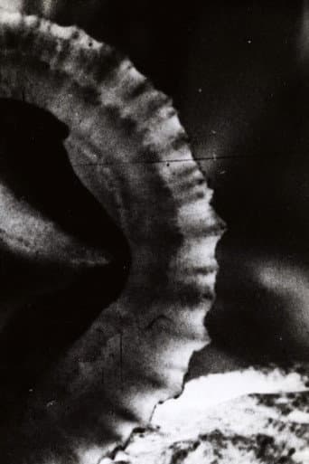 Poster for Versus