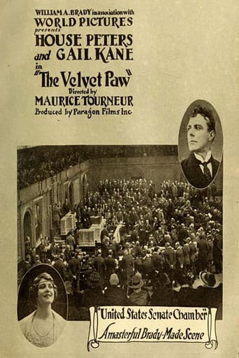 Poster for The Velvet Paw