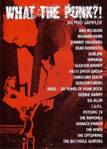 Poster for What the Punk - An MVD Sampler