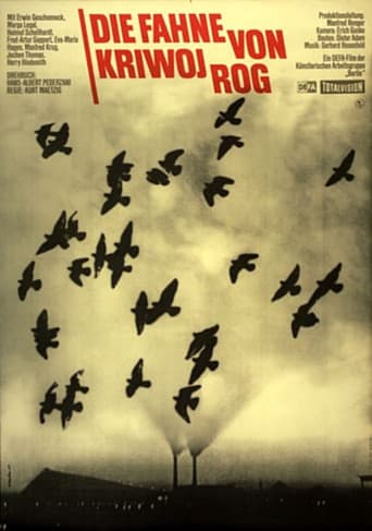 Poster for The Banner of Kryvyi Rih