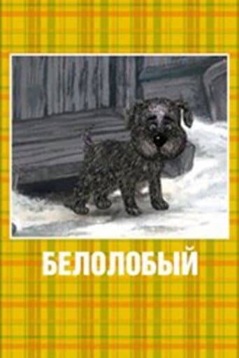 Poster for White-Browed