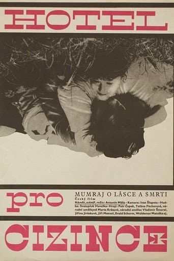 Poster for Hotel for Strangers