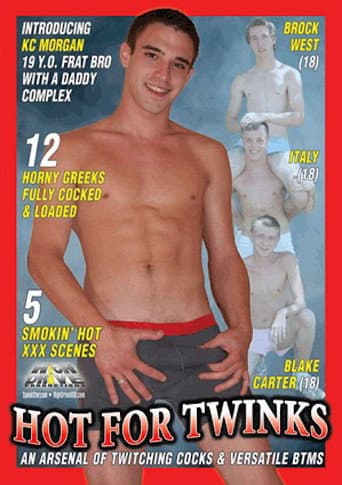 Poster for Hot for Twinks